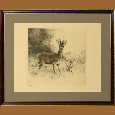42800700  CUADRO GRABADO CORZO 57X48