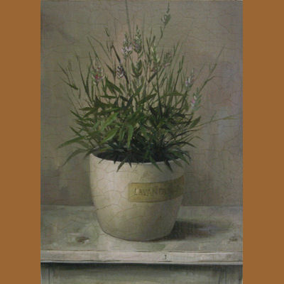 45305300  CUADRO PLANTA LAVANDA