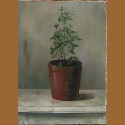 45305700  CUADRO PLANTA MENTA